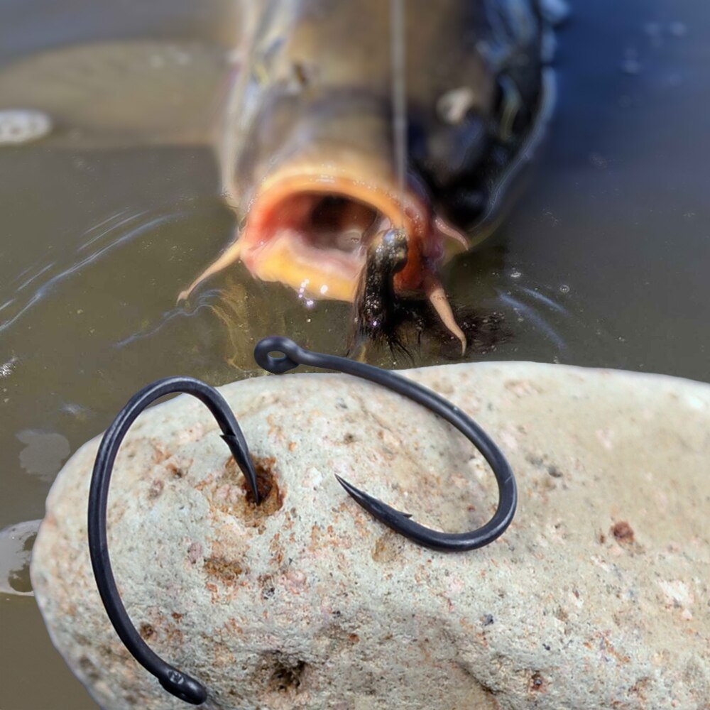 Hirisi Carp Fishing Hooks 50pc - Fishing Hook Offset 评论和价格